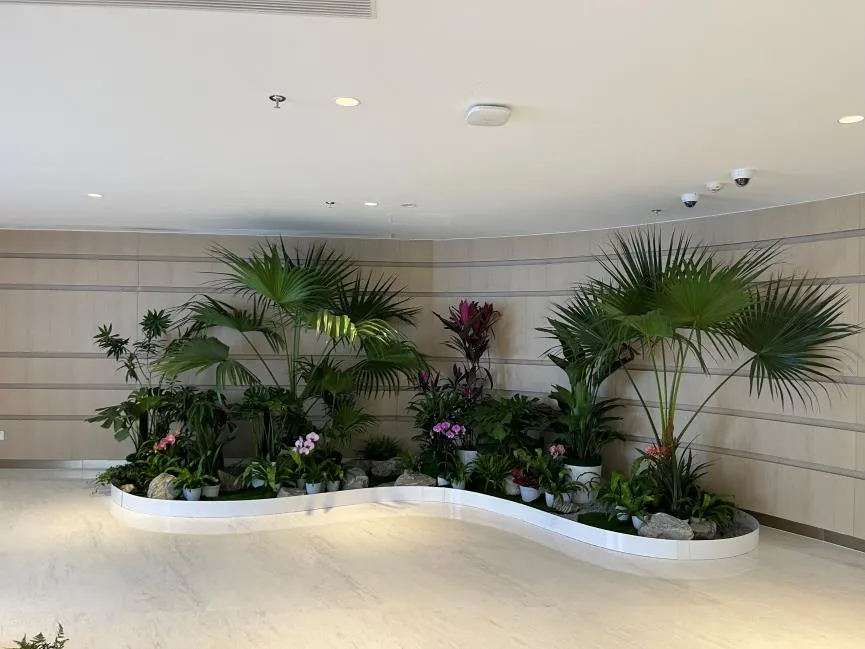 超赞！宁波镇海花卉租摆，服务好到爆！